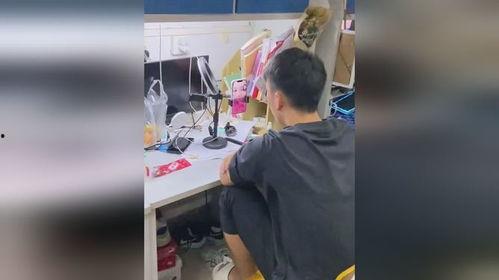 东北男网红吃瓜视频,揭秘瓜界新潮流