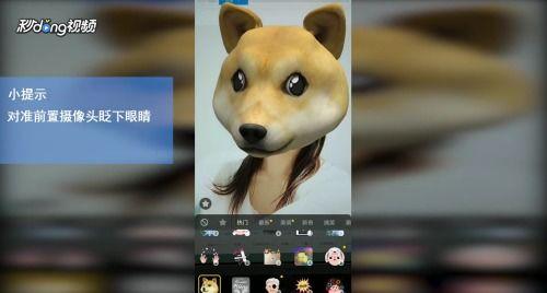 抖音狗头吃瓜合集视频,狗头吃瓜合集，萌宠搞笑瞬间大盘点