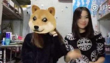 抖音狗头吃瓜合集视频,狗头吃瓜合集，萌宠搞笑瞬间大盘点