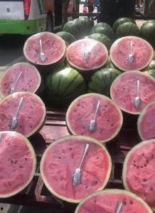 拿勺子挖瓜吃视频播放,短视频展现创意美食新风尚