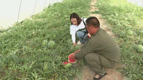 吕梁上安村吃瓜事件视频,一场引发热议的乡村冲突瞬间