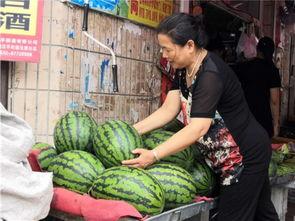 东北人吃小瓜好吗视频播放,小瓜美食之旅，视频播放揭示独特东北饮食文化