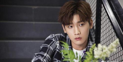 肖战抱腰吃瓜视频大全集,全网热议！