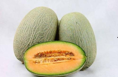 新疆孩子吃哈密瓜视频素材,哈密瓜视频展现瓜乡风情