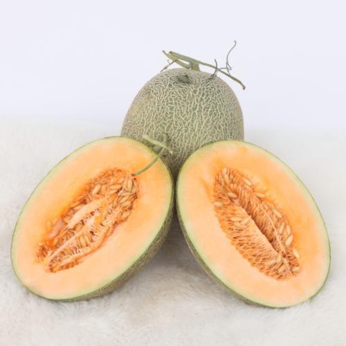 新疆孩子吃哈密瓜视频素材,哈密瓜视频展现瓜乡风情