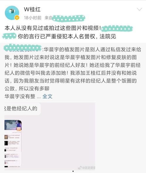 石家庄吃瓜事件后续视频,真相揭晓与舆论反转全记录