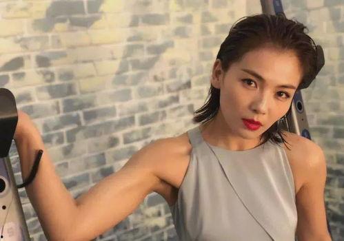 吃瓜视频完整版刘涛,揭秘娱乐圈幕后真相