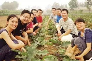 向前农场吃瓜视频,一场别开生面的吃瓜盛宴