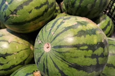 那种吃瓜视频怎么放的,轻松吸引观众眼球