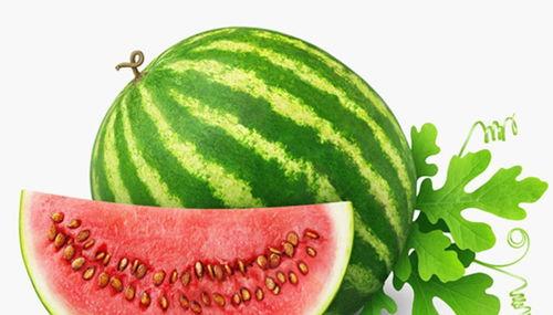 当代人吃瓜的视频,吃瓜群众的狂欢与反思