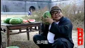 雄县文安吃瓜视频,一场全民娱乐的狂欢盛宴