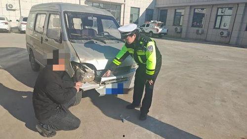 临港交警吃瓜事件视频,网络热议背后的真相揭晓