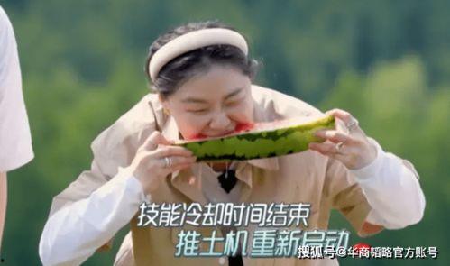 我是中国人吃瓜视频下载,热门内容背后的下载攻略