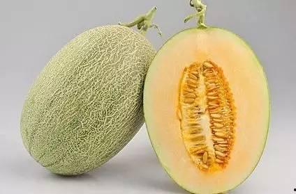 吃瓜赠瓜搞笑视频合集