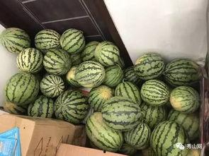 西吉吃瓜视频,揭秘网络热点的背后真相