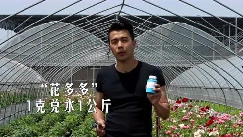 爱种花王大爷吃瓜视频播放,揭秘花农日常趣事