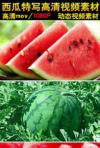 吃瓜吐血的视频素材,惊悚一幕引发网友热议