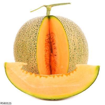 小二哈吃哈密瓜视频,萌态十足引网友爆笑