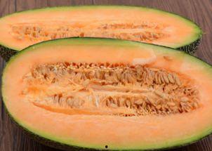 小二哈吃哈密瓜视频,萌态十足引网友爆笑