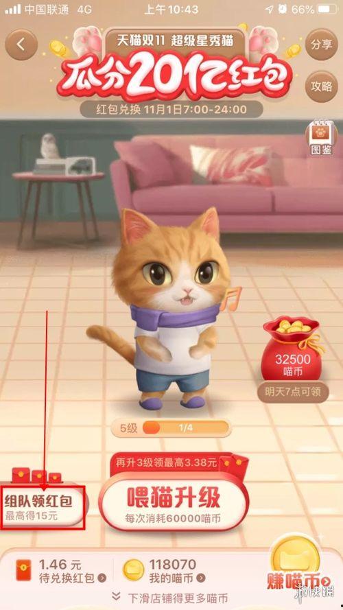 双十一养猫吃瓜视频,萌宠趣味横生！