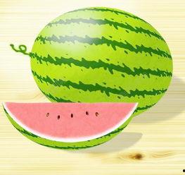 吃瓜图片哪里找素材啊视频,揭秘吃瓜图片素材的寻宝之旅