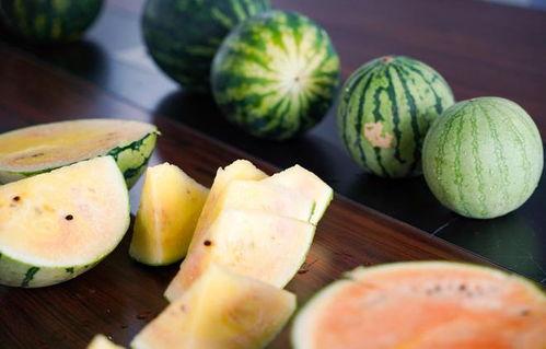 彩虹吃瓜视频大全最新