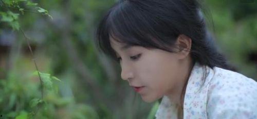 李子柒吃臭瓜视频,揭秘臭瓜的神秘魅力