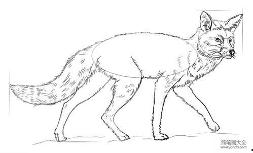 狐狸吃瓜绘画视频教程,轻松绘制可爱动物瓜果场景