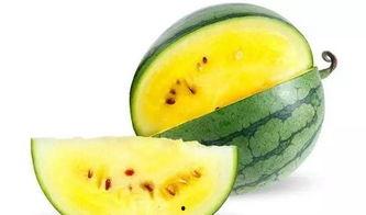 韩城吃瓜视频哪里可以看,观看指南与热门平台推荐