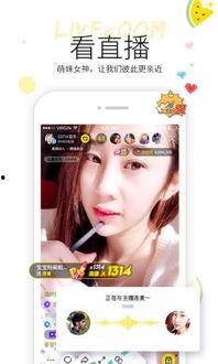 小机灵鬼吃瓜视频全集,揭秘全集笑料横生的欢乐之旅