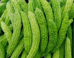 主动提出吃瓜视频,主动探索的娱乐新潮流