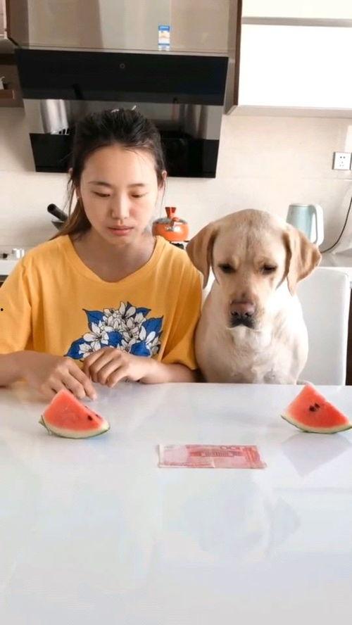 最近比较火的吃瓜视频,一场全民参与的娱乐盛宴