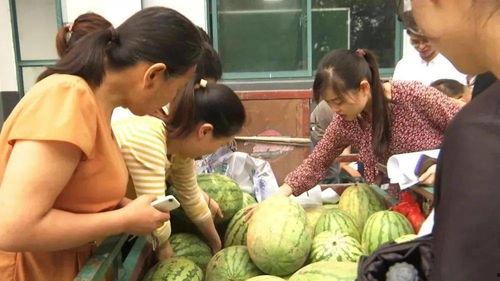 平川吃瓜群众事件视频,一场网络舆论的风暴与反思