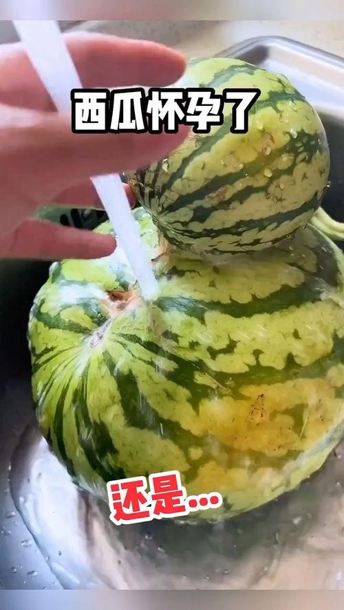 吃瓜的搞笑视频原创