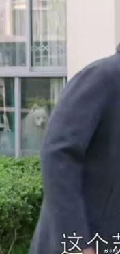 512瓜吃群众完整视频,全程回顾与深度剖析