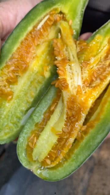 蓟县吃瓜视频,揭秘当地特色美食与风土人情