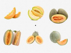 吃哈密瓜食物视频大全,视频大全带你领略瓜果美味