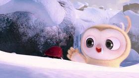 娱乐吃瓜日常视频,揭秘明星幕后故事