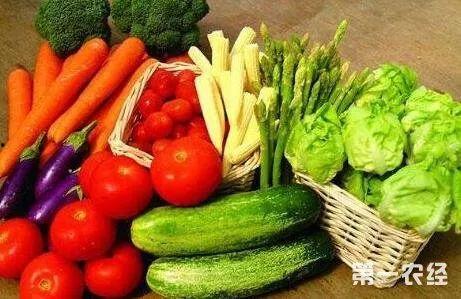 美食主播全国吃瓜视频下载,跟随主播一起探索各地特色吃瓜视频