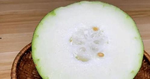 冬天的一枝瓜可以吃吗视频,揭秘“一枝瓜”的冬日美味之谜