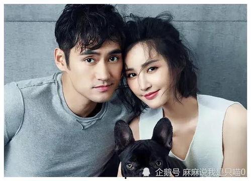 吃瓜视频明星爆料,吃瓜视频揭露明星幕后真相