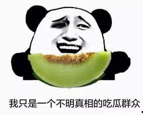 朝阳群众吃瓜 蘑菇视频,吃瓜神器蘑菇视频，带你领略网络新风尚