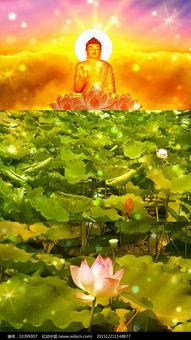 吃瓜背景纯音乐视频大全,跟随纯音乐视频，畅游音乐与视觉的瓜界盛宴