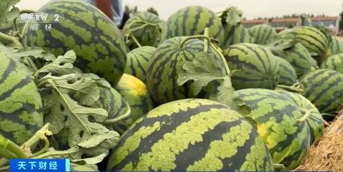 空座位吃瓜原视频,揭秘幕后真相，带你领略网络热点的魅力