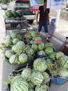 安平吃瓜事件视频大全,视频大全揭秘网络热议瞬间