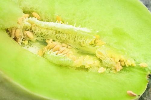 魔都吃瓜视频,揭秘都市生活里的热点事件与幕后真相