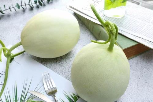 魔都吃瓜视频,揭秘都市生活里的热点事件与幕后真相