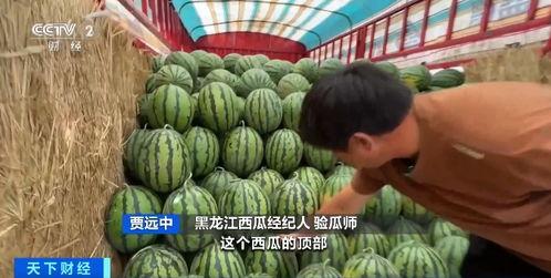 四十万吃瓜视频,揭秘娱乐圈幕后风云