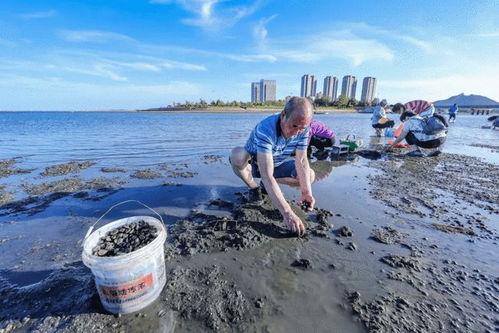 威海海边吃瓜事件视频最新