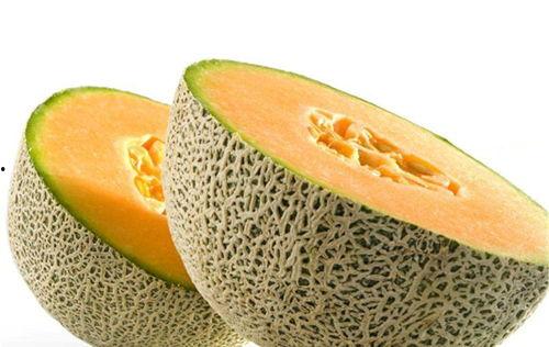 老鹰吃哈密瓜视频播放,一场惊心动魄的捕食瞬间